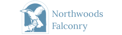 Northwoods Falconry logo